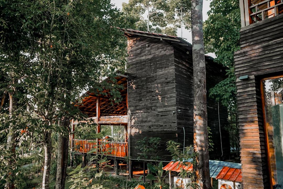 De Foret Elephant Beach Exteriör bild